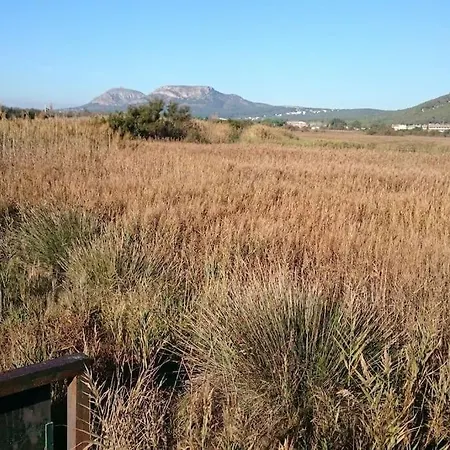 Cozy, Sunny And Close To The * L'Estartit
