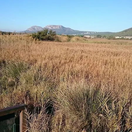 Cozy, Sunny And Close To The * L'Estartit